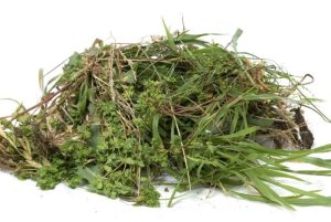 Green waste and organic material